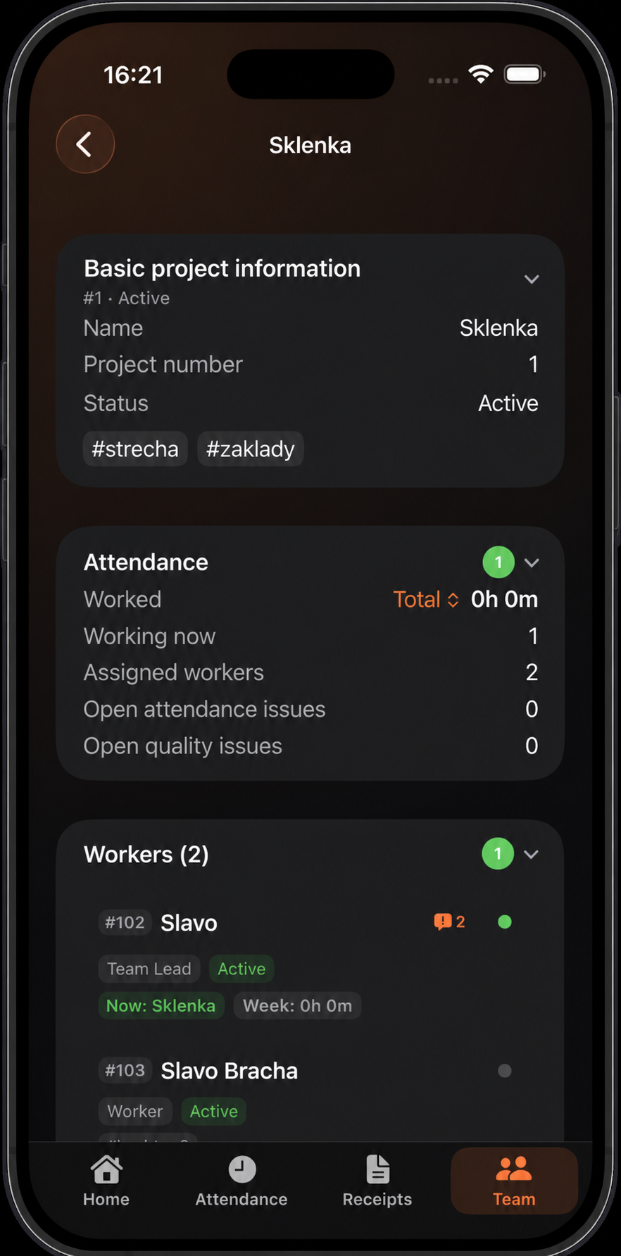 Project detail with attendance and workers