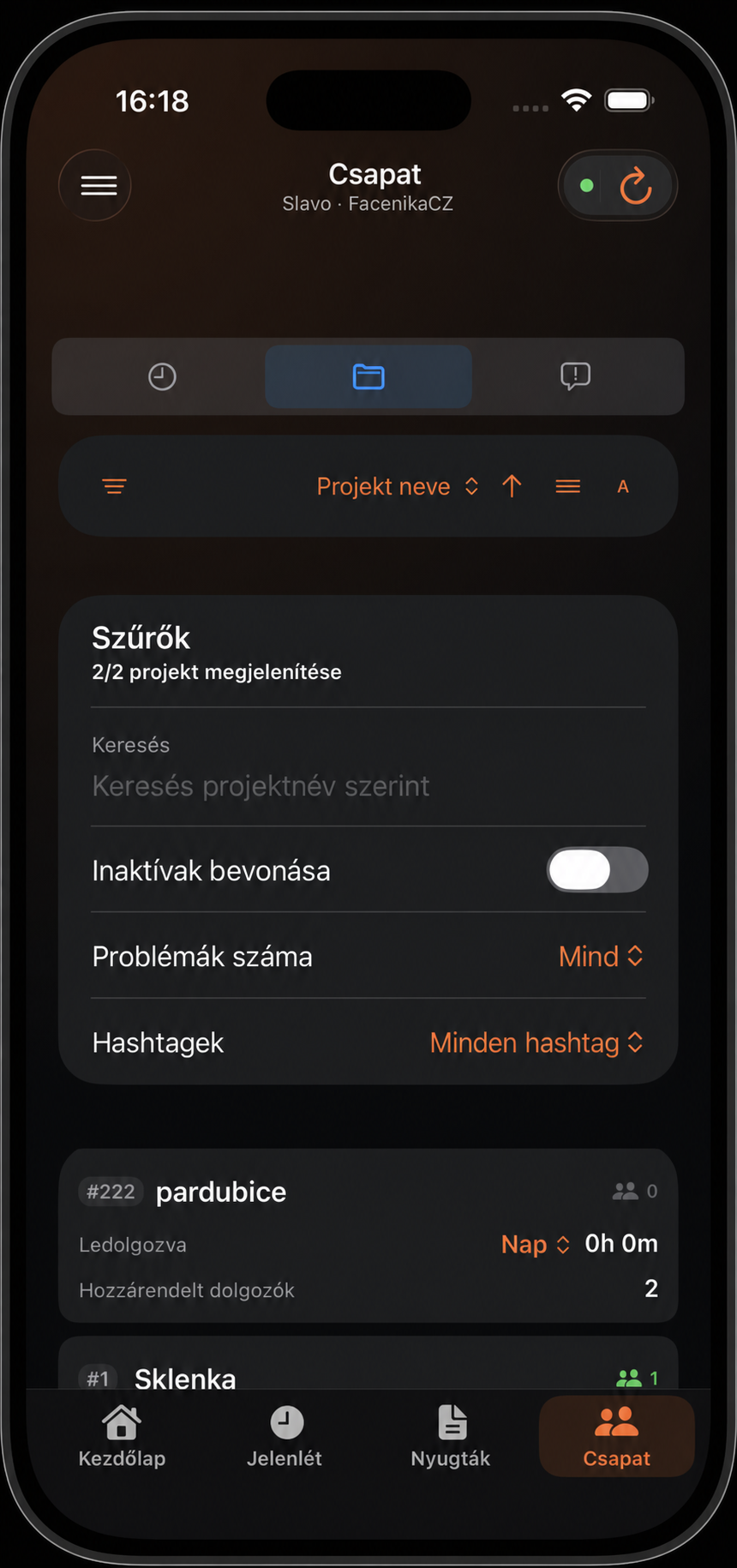 Projektáttekintő szűrői