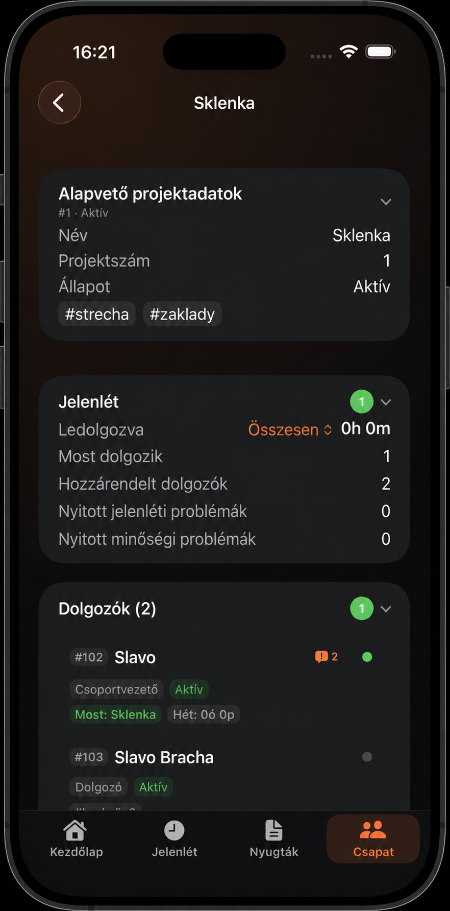 Projekt részletei jelenléttel és dolgozókkal